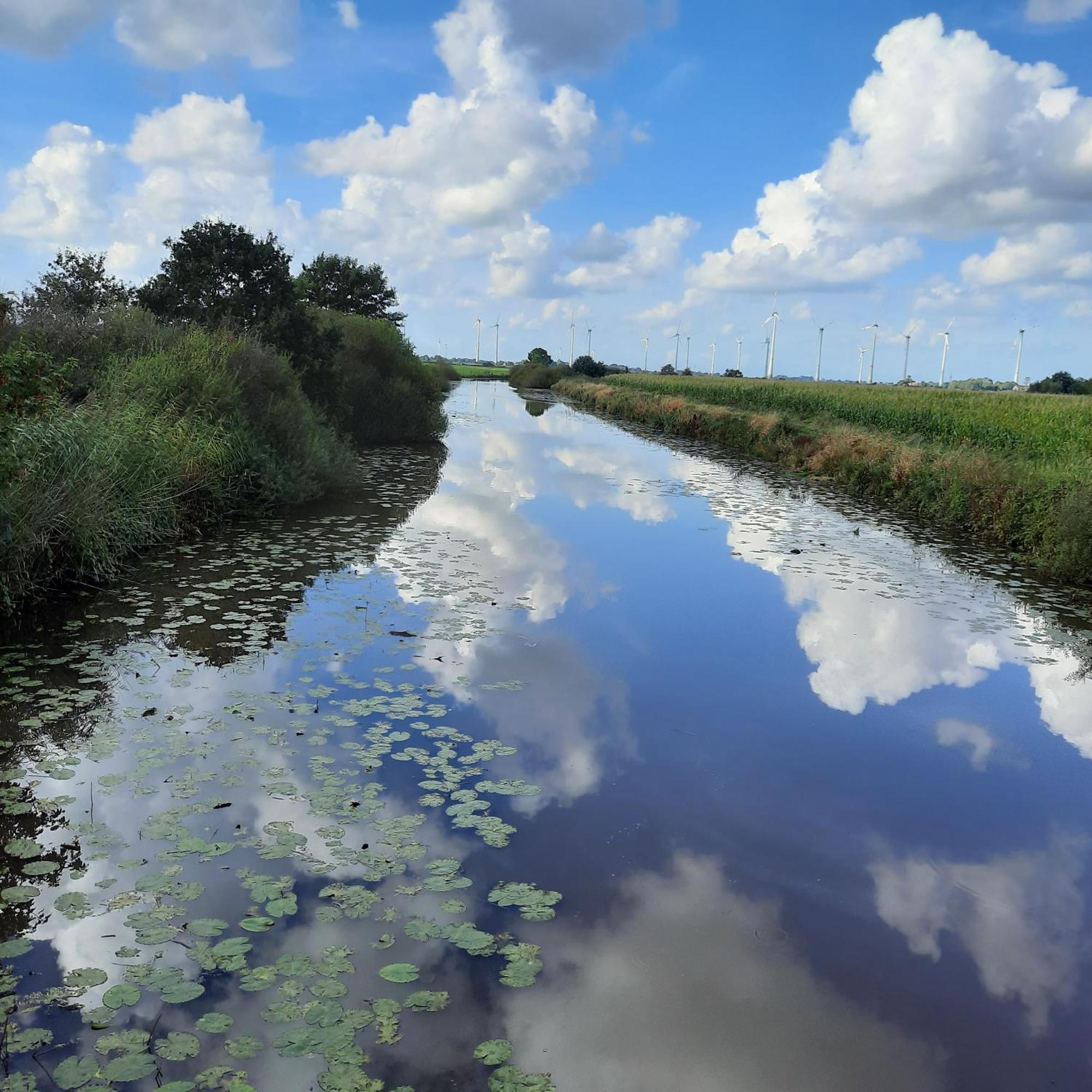 Harle-Casa.Ostfriesland Villa Altfunnixsiel Esterno foto