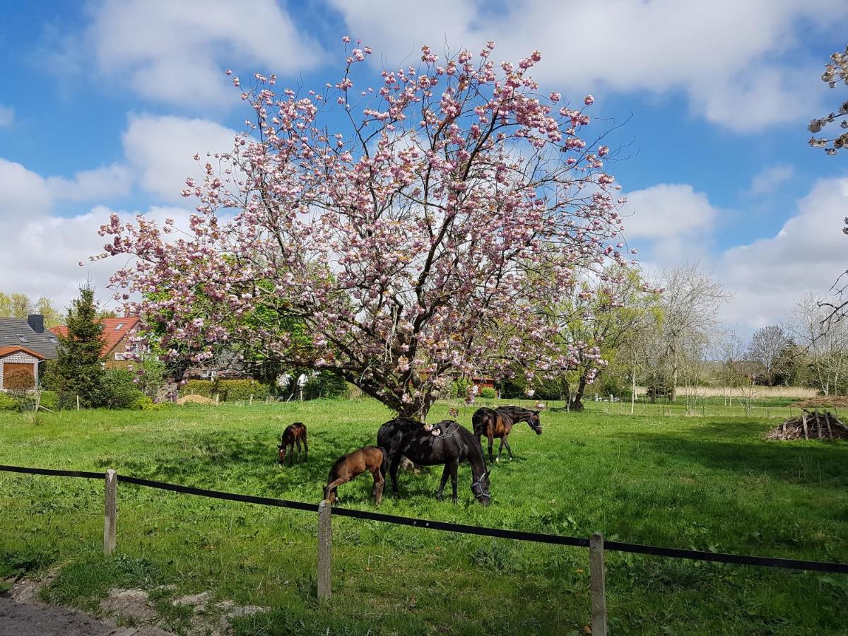 Harle-Casa.Ostfriesland Villa Altfunnixsiel Esterno foto